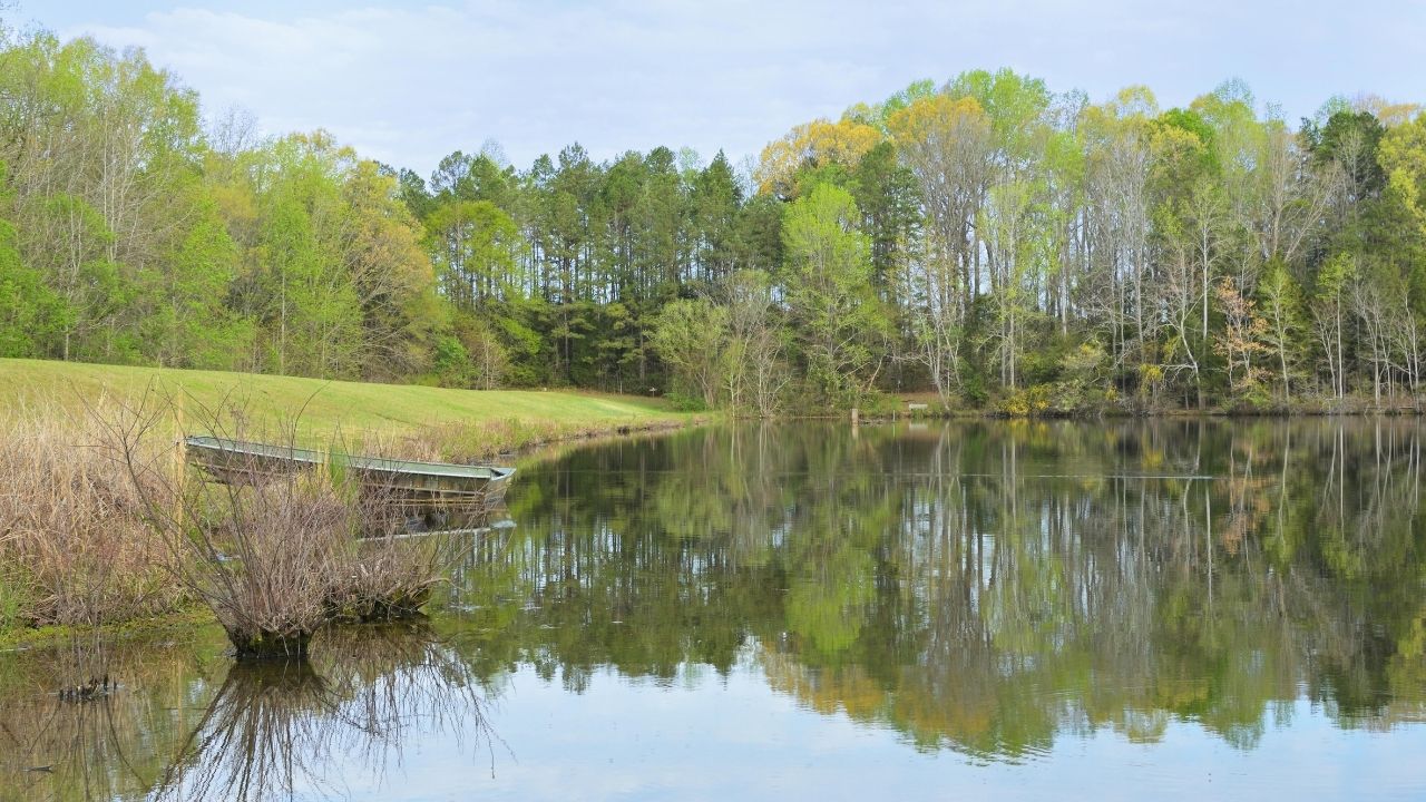 view of a lake