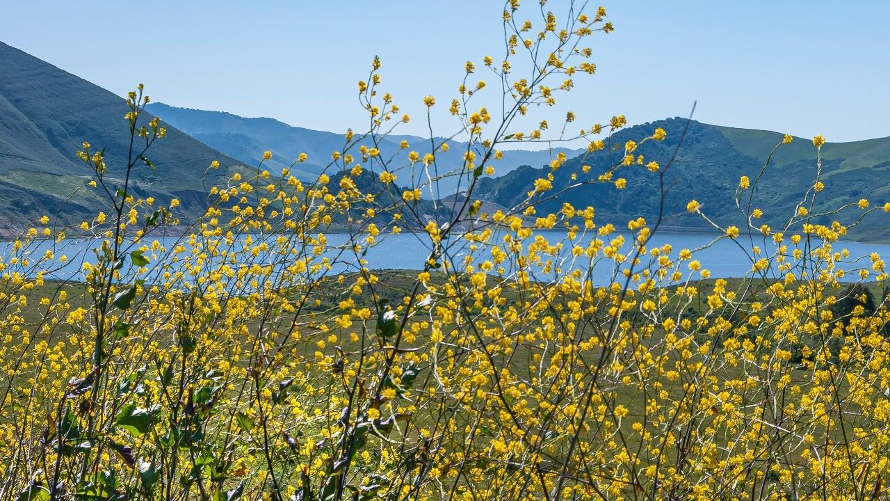 view of a lake in santa maria
