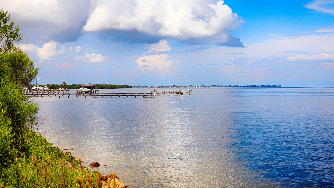 coastline of Bradenton