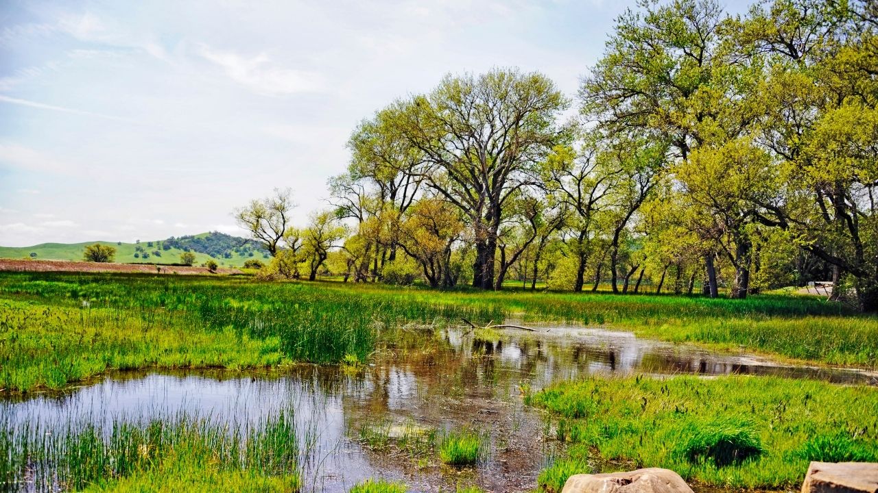 Logoon Valley Vacaville California
