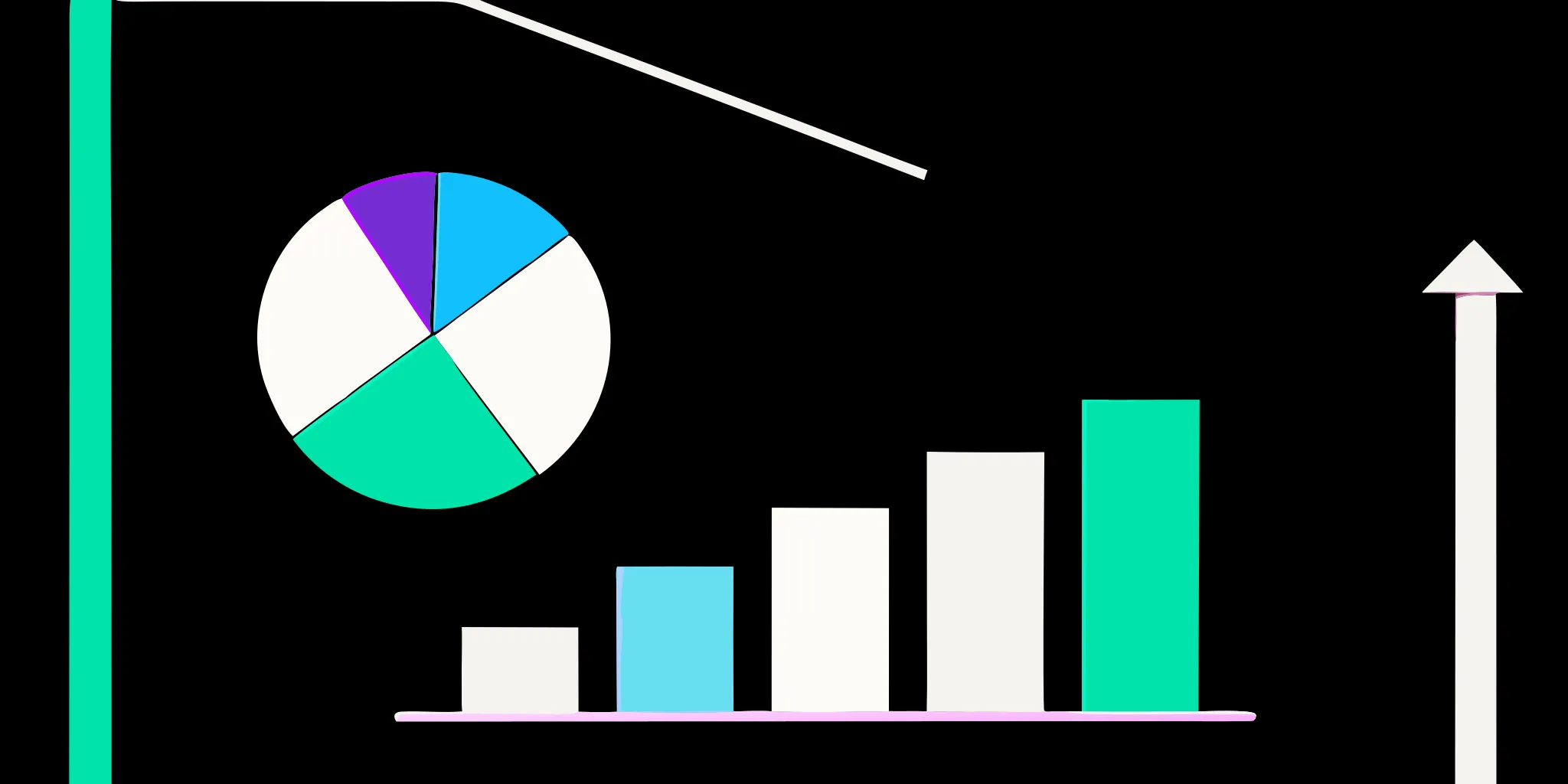 Pie chart and bar graph breaking down a nonprofit campaign budget.