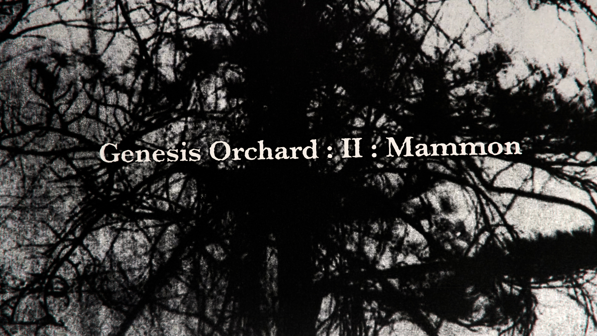 A scary tree with leafless branches in black and white with the distorted text Genesis Orchard : II : Mammon from the Apple Rot analog horror by Blauw Films.