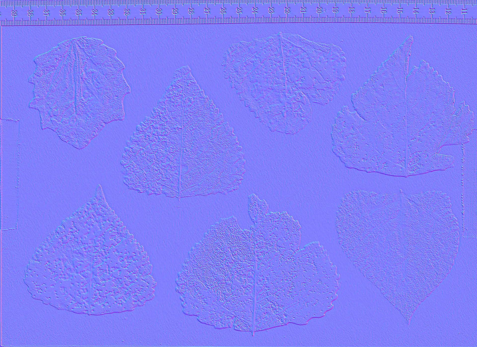 compare:leaves02:after