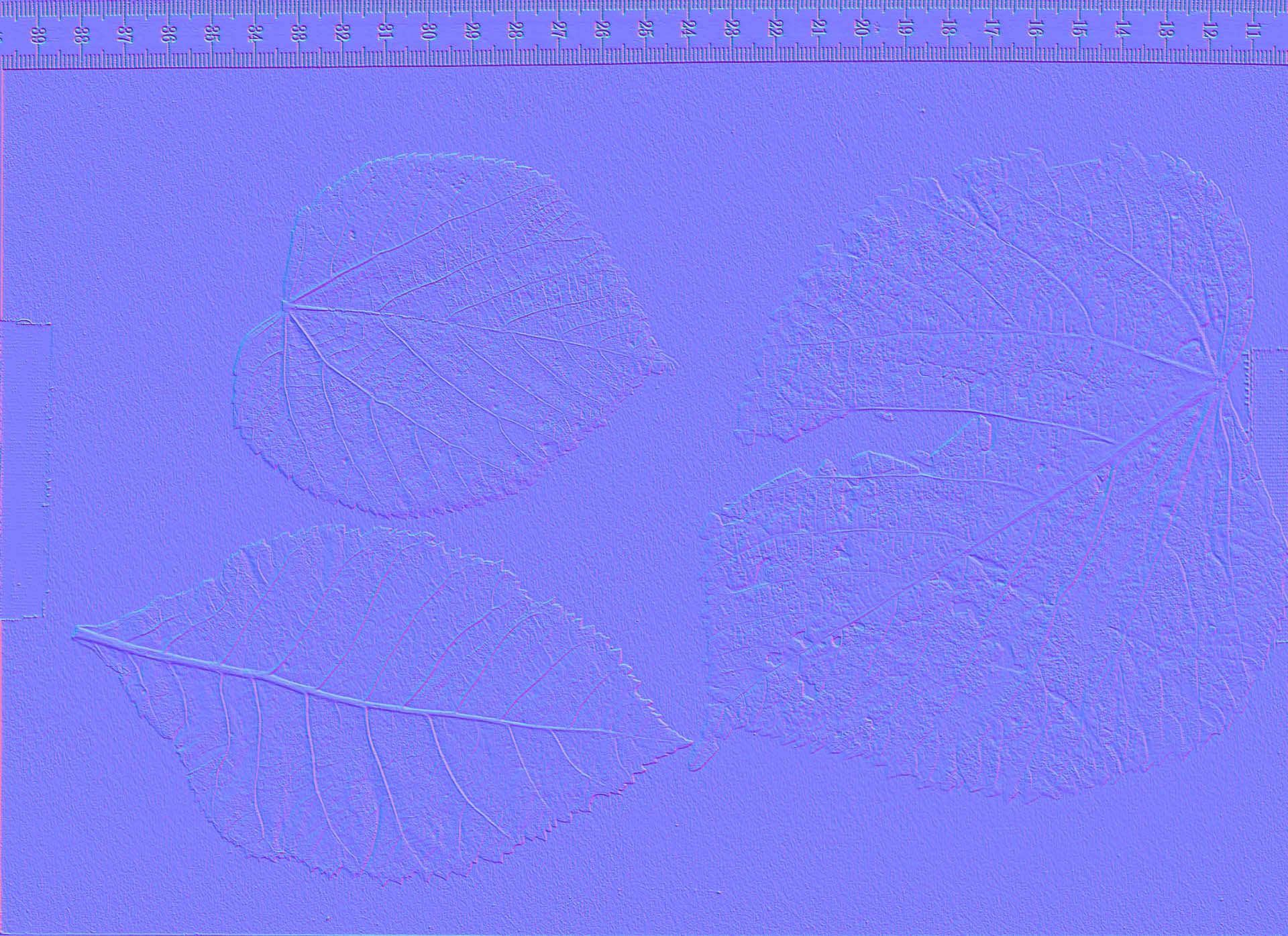 compare:leaves03:after