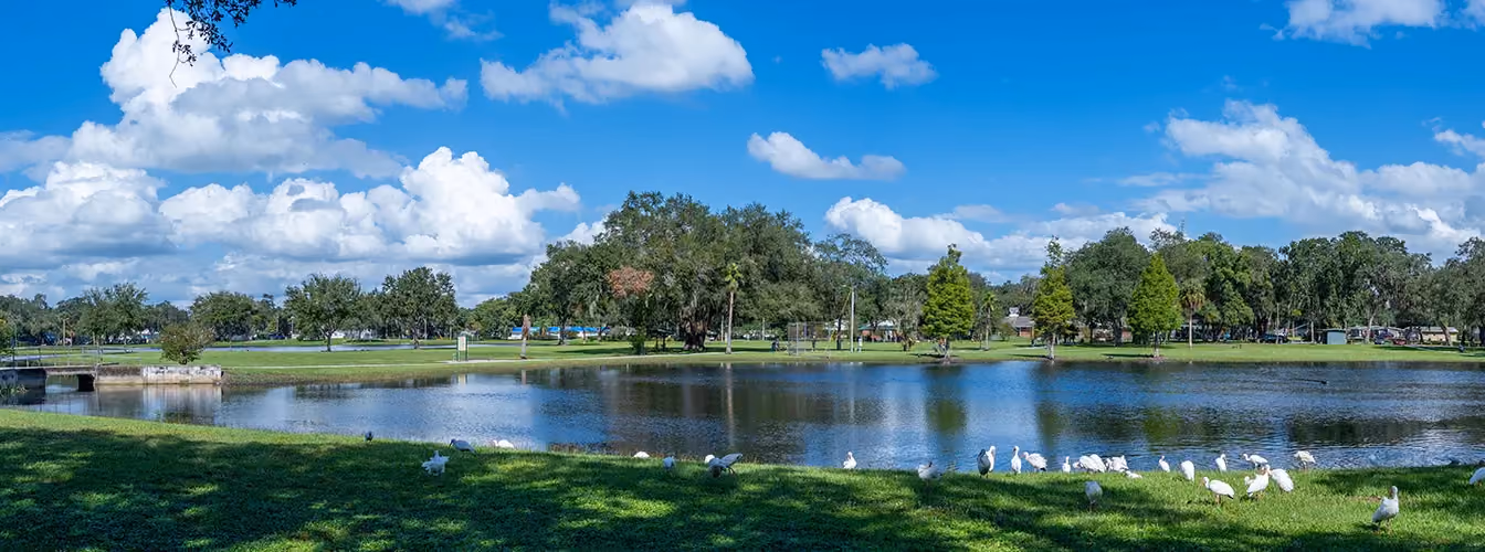 Repipe Specialists in Zephyrhills - Repipe Experts in Zephyrhills