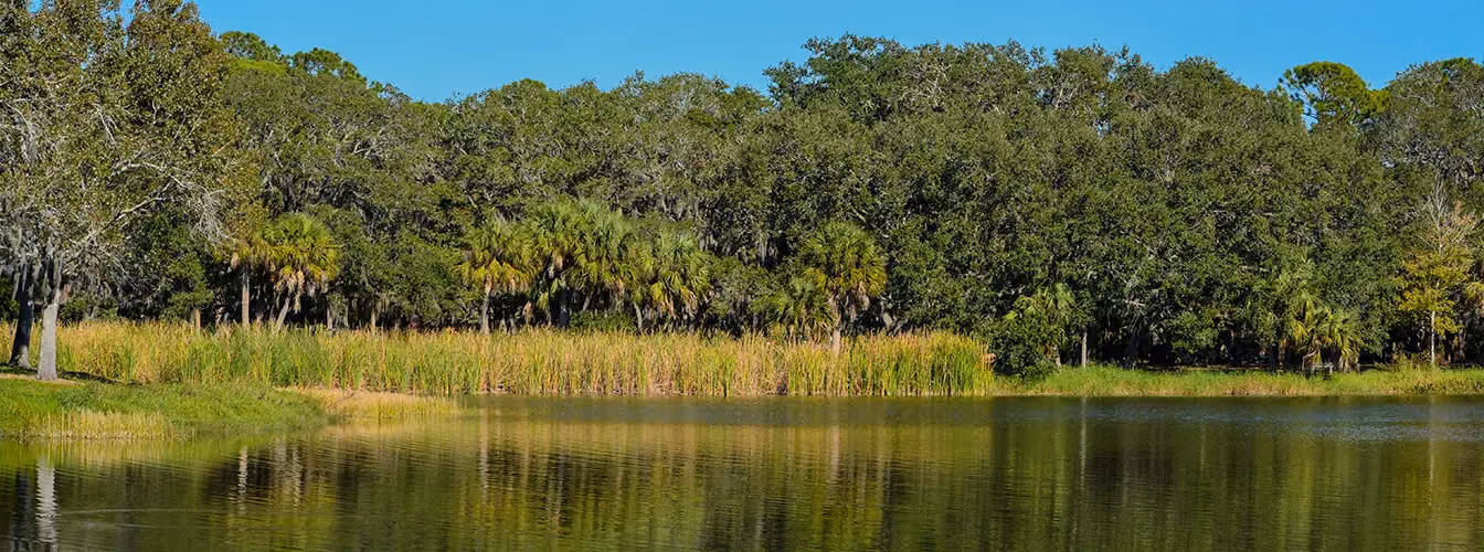 Repipe Specialists in Seminole - Repipe Experts in Seminole