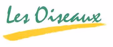 Green cursive text 'Les Oiseaux' with a yellow brushstroke underline.