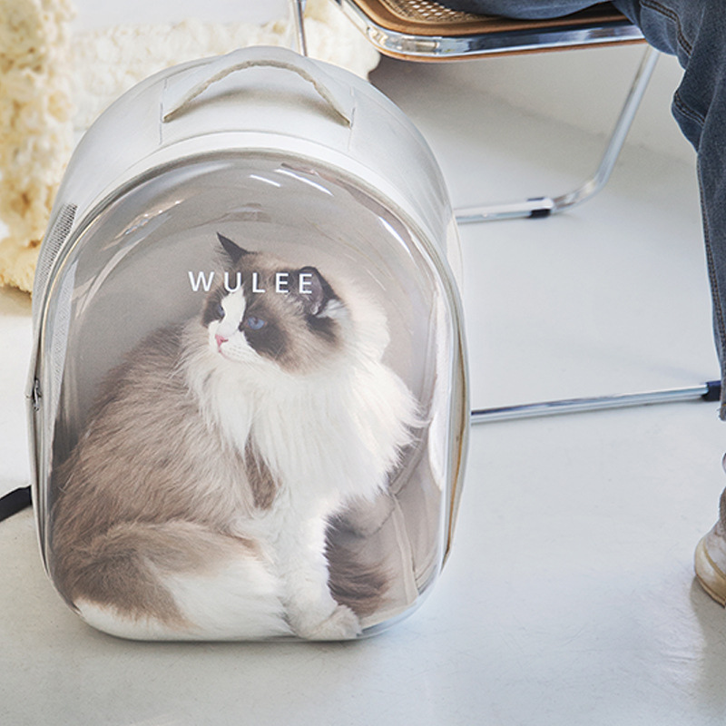 Portable transparent cat carrier