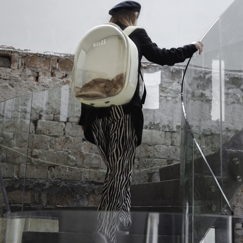 Portable transparent cat carrier