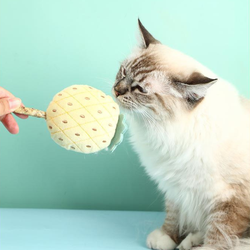 Natural wood polygonum cat toy