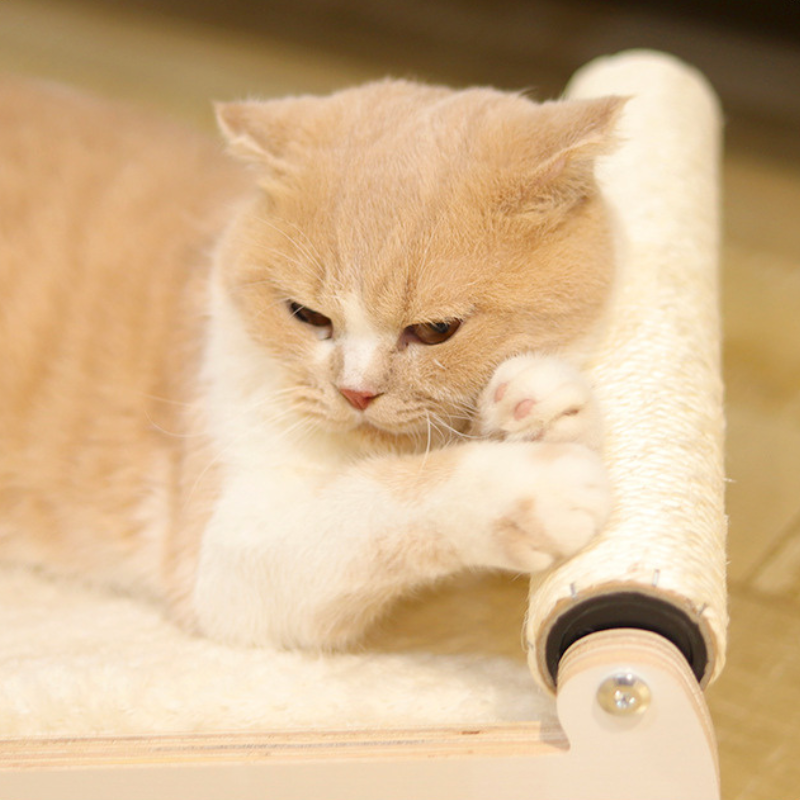 Sled shade solid wood cat bed