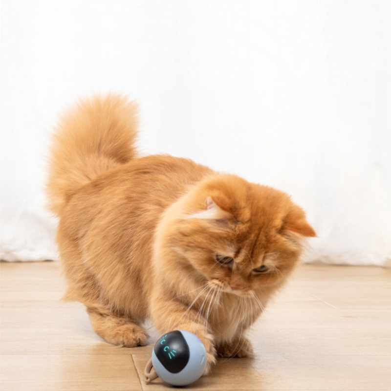 Electric magic ball cat toy