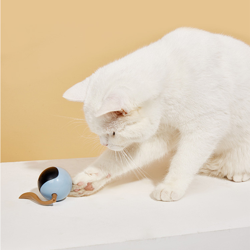 Electric magic ball cat toy