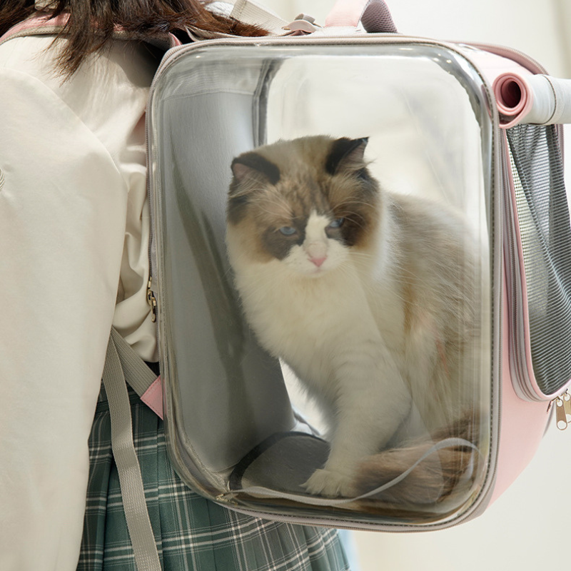 Travel backpack cat carrier