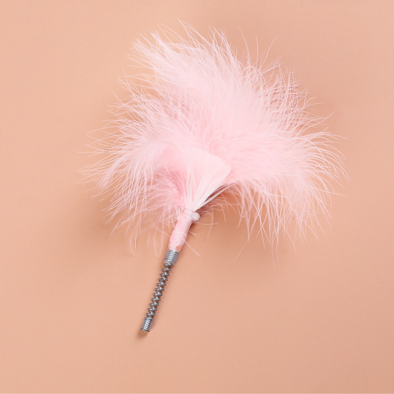 Feather tumbler cat toy