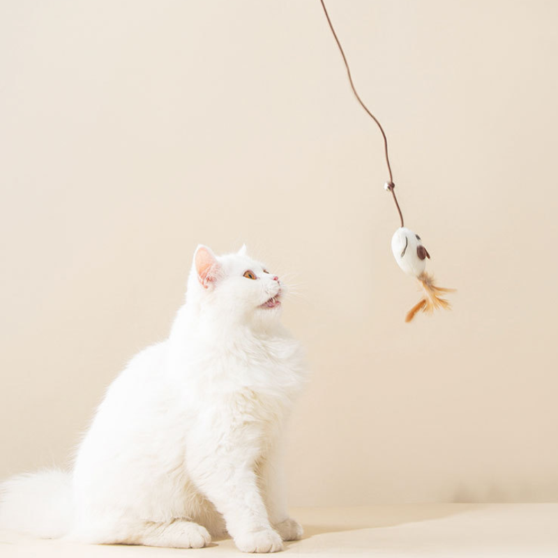 Natural wood wand cat toy
