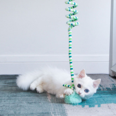 Suspended spring cat toy