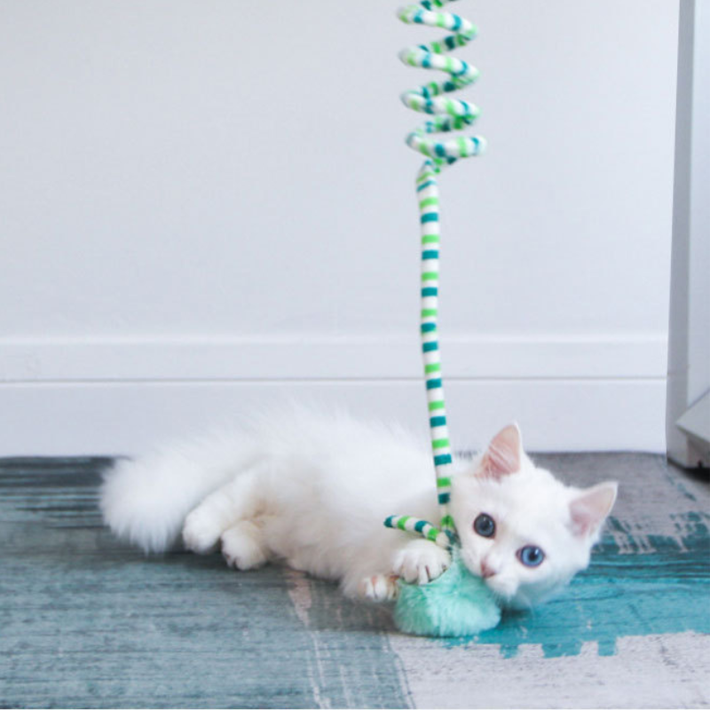 Suspended spring cat toy