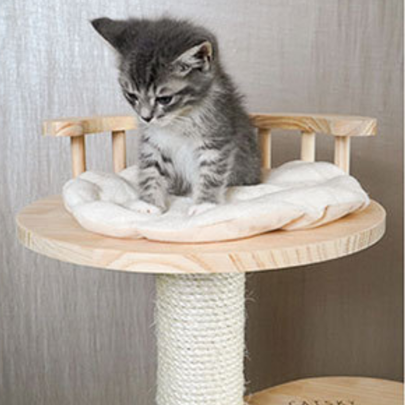 Solid wood cat tree with space capsule