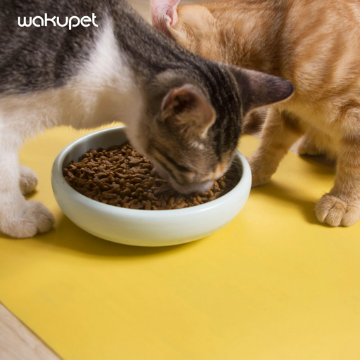 Wakupet cat food placemat