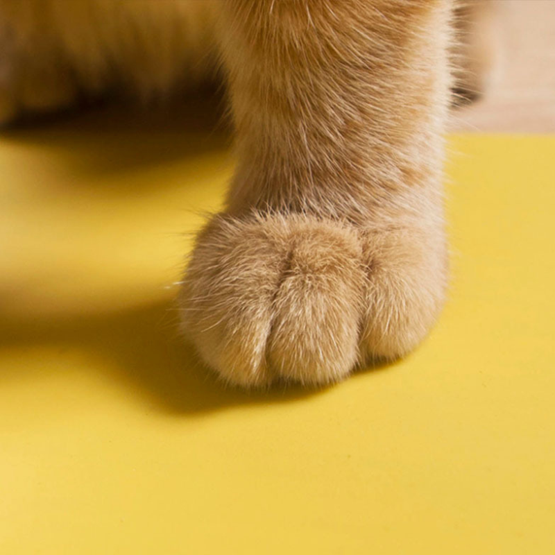 Wakupet cat food placemat