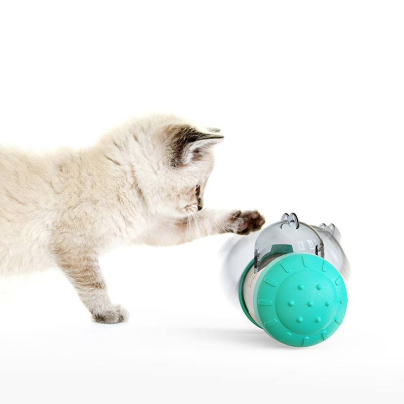 Interactive slow feeder cat toy