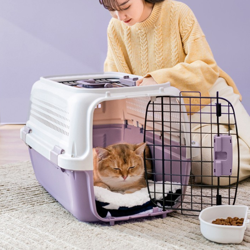 Hard-sided cat travel carrier