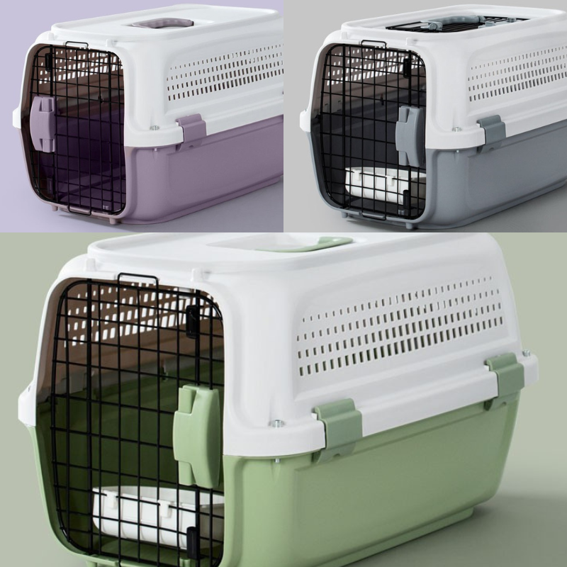Hard-sided cat travel carrier