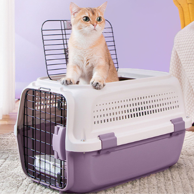 Hard-sided cat travel carrier