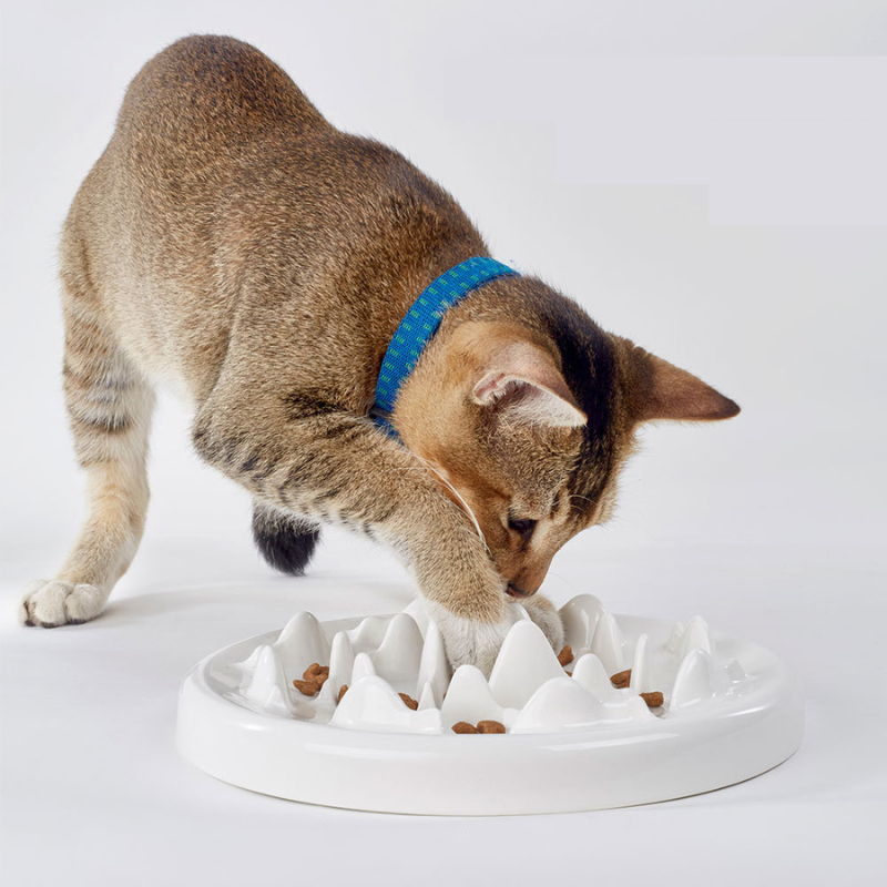 Ceramic cat slow feeder
