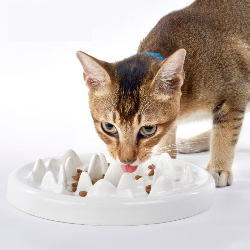 Ceramic cat slow feeder