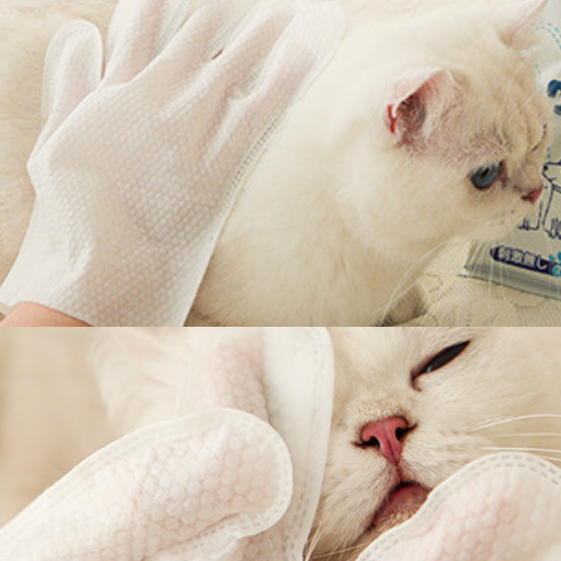 kojima pet wash-free gloves 7 pieces