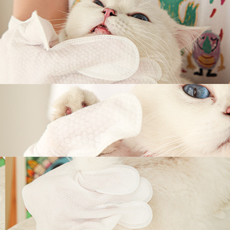kojima pet wash-free gloves 7 pieces