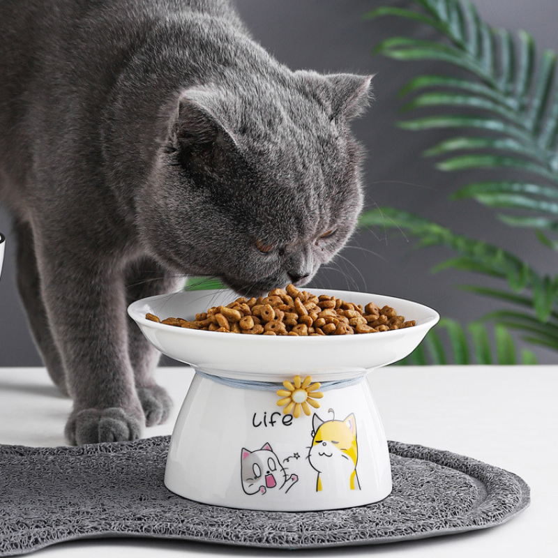 Peanut shape cat food placemat