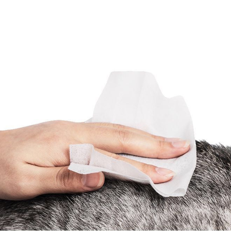 KOJIMA wet tissue special for cats & dogs