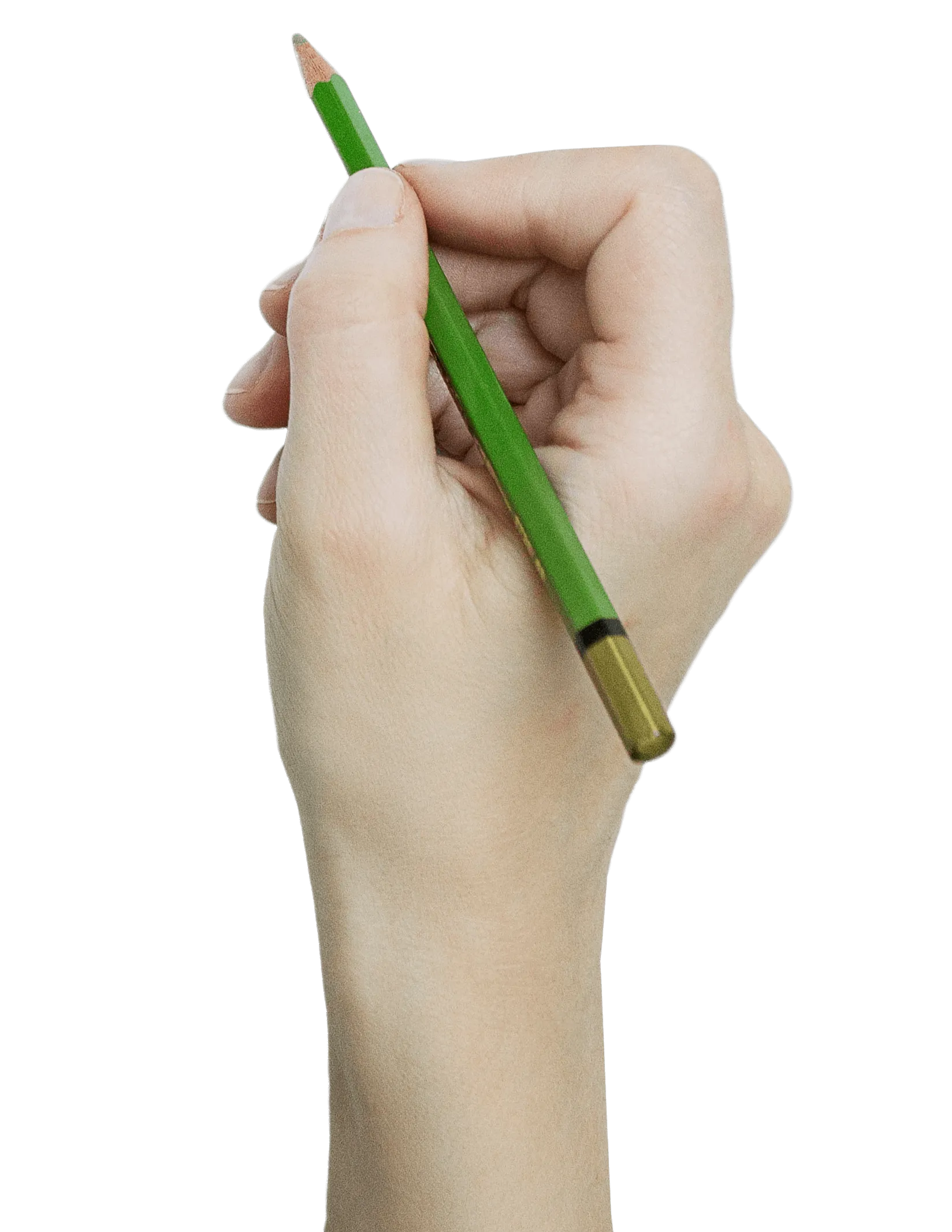 Right hand holding a sharpened green pencil with a brass ferrule against a transparent background.