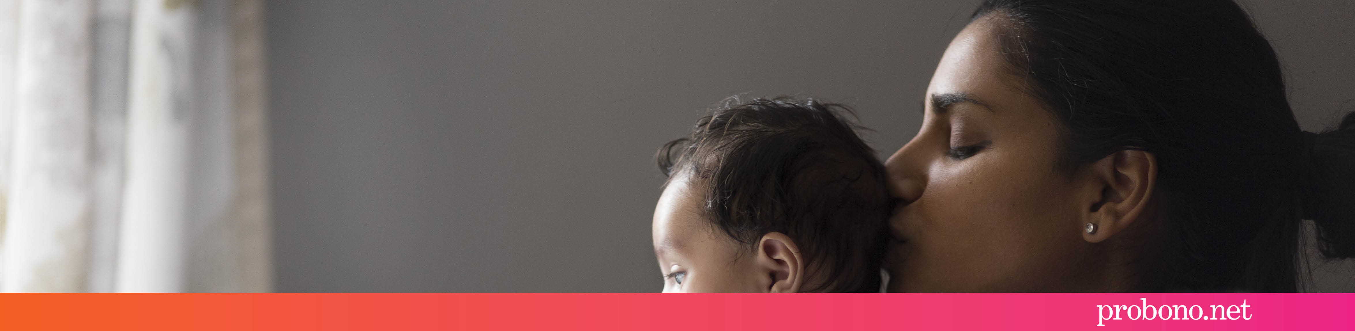 Pro Bono Net