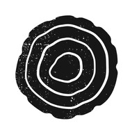 The Collective Intelligence Project