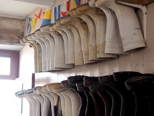 Création de l'identité de marque la ferme des baleines