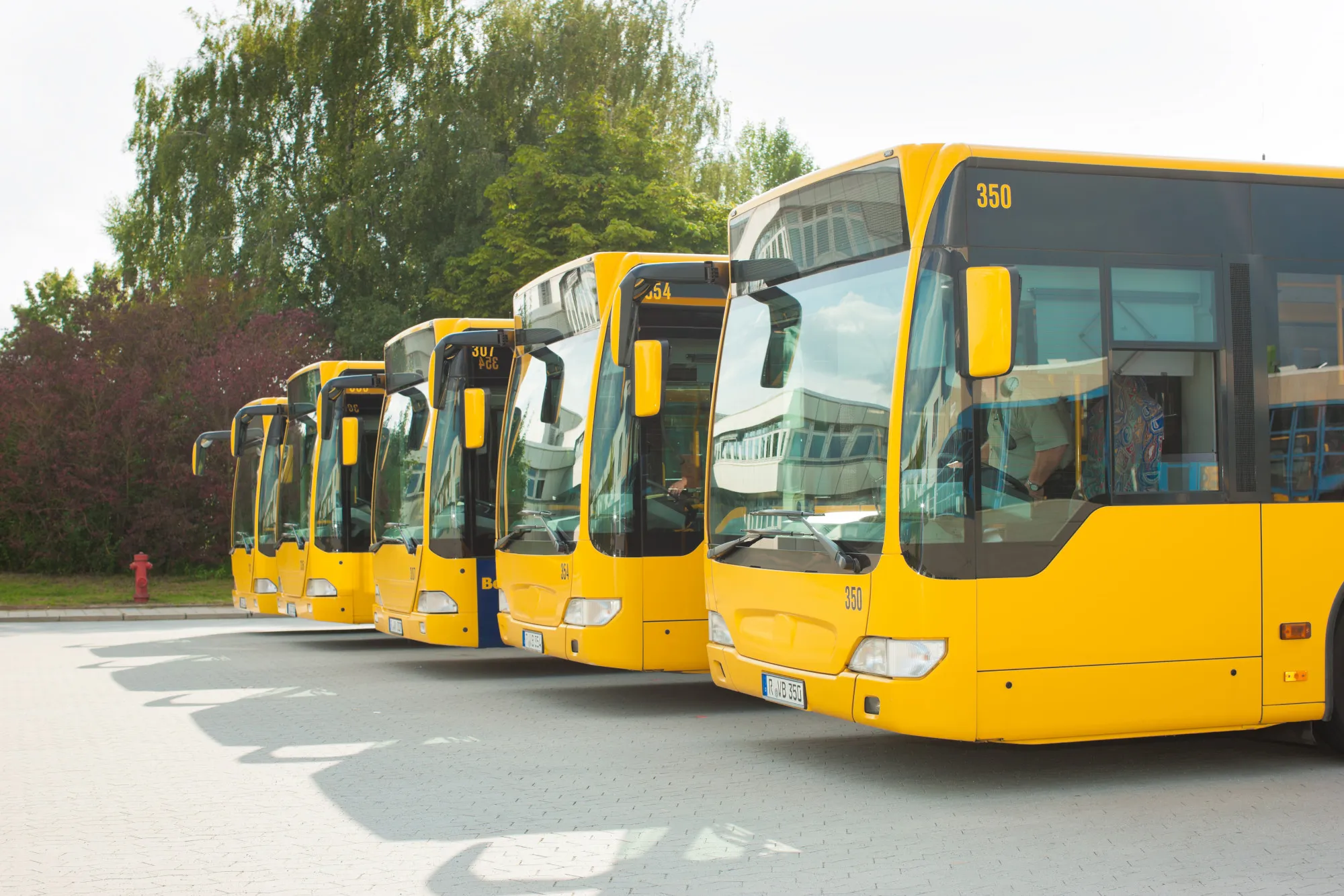 A row of yellow buses parked next to each other.