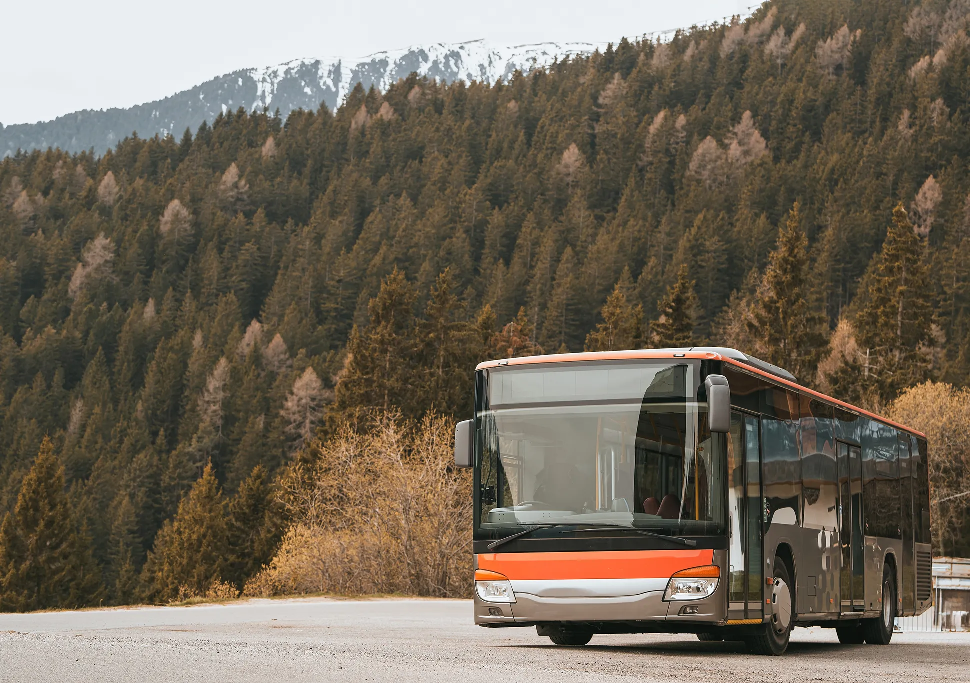 A bus driving down a road next to a forest.