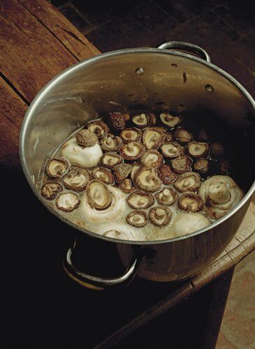 Bouillon de champignons