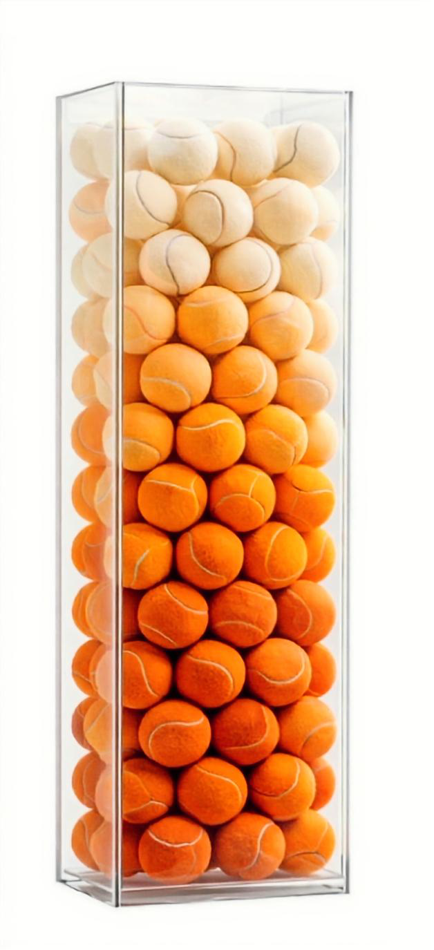 Vitrine en plexiglas avec couvercle amovible