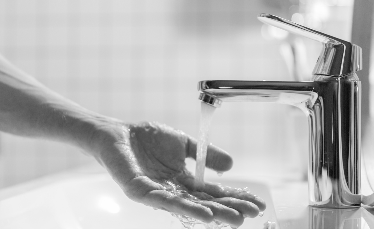 Home and garden wireframes 