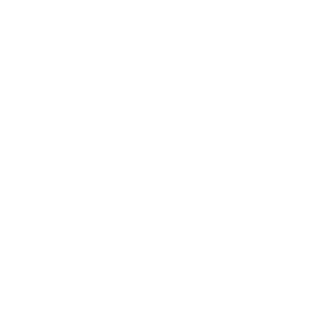 Twitter Social Badge