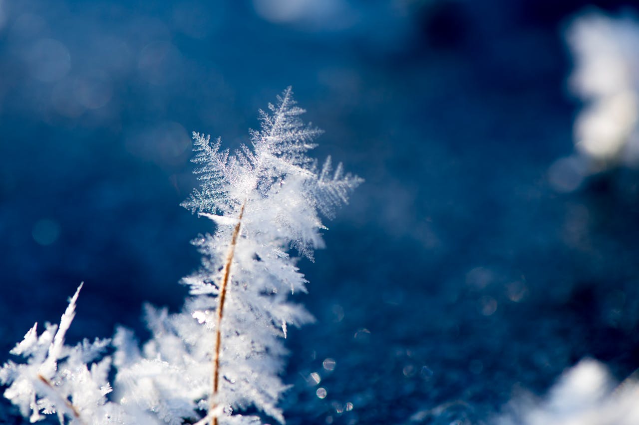 Winter risk readiness: Safeguarding your business against seasonal disruptions