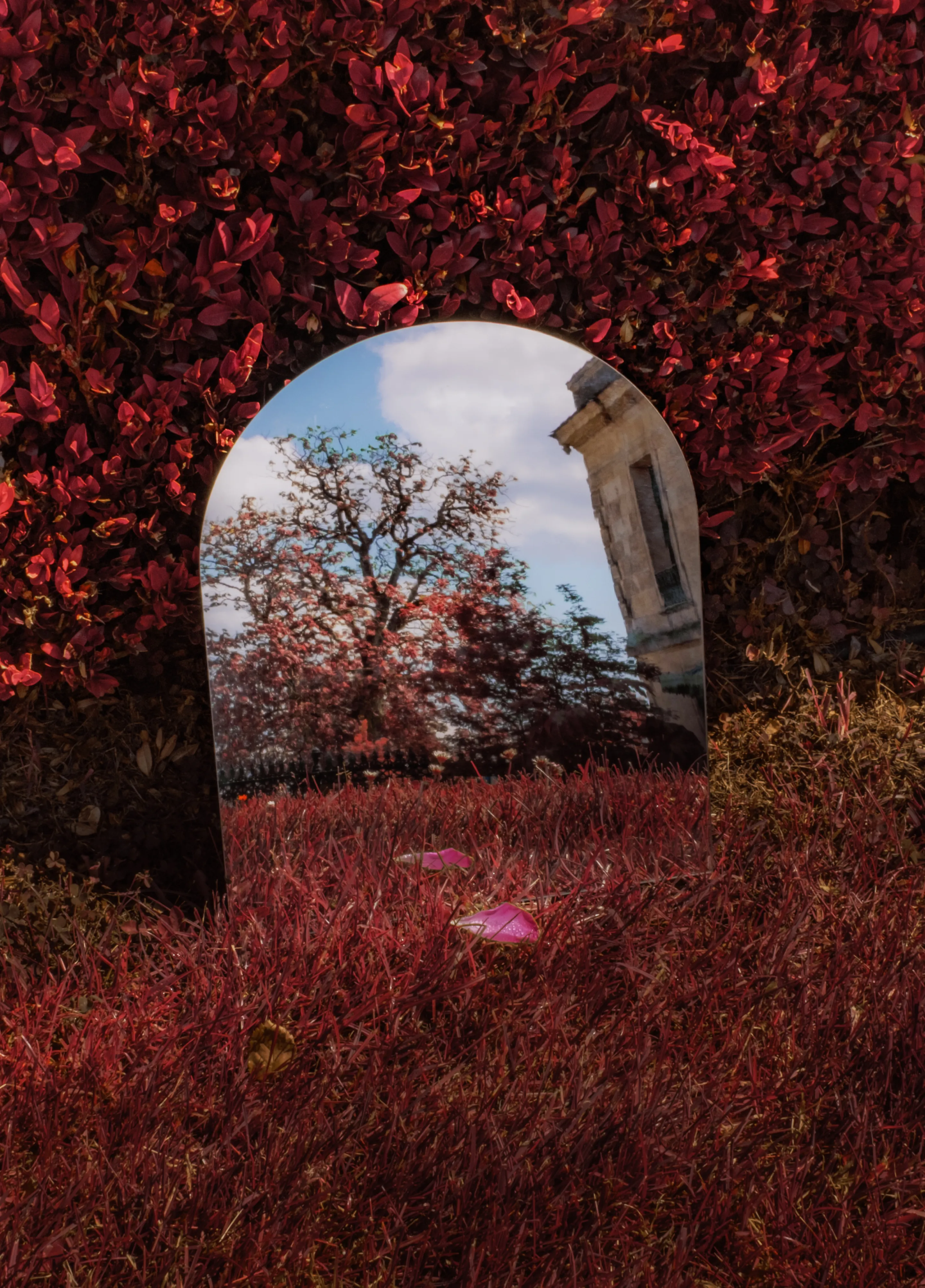 2015, terroir as a totem