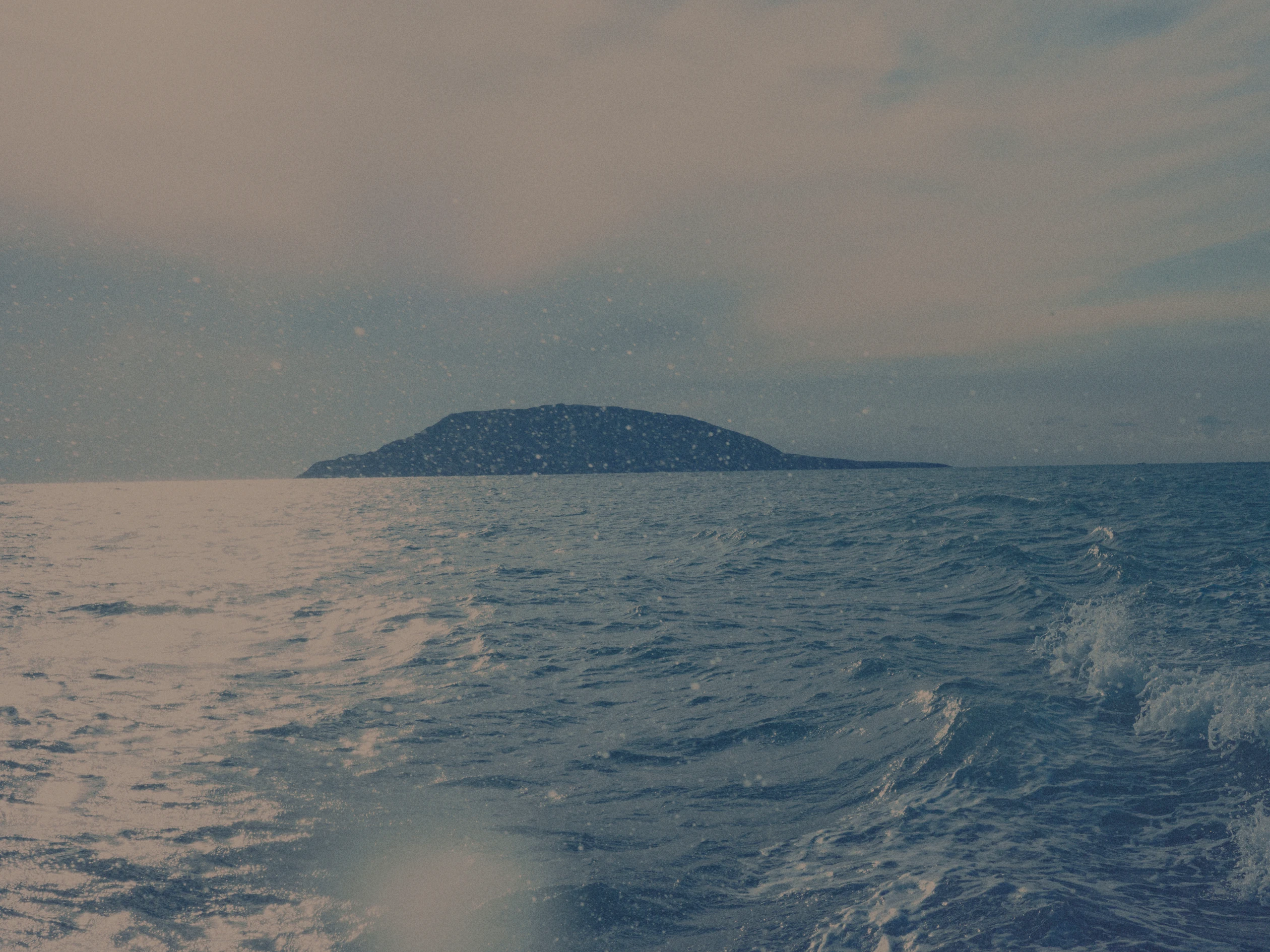 oeil de palmer (home)