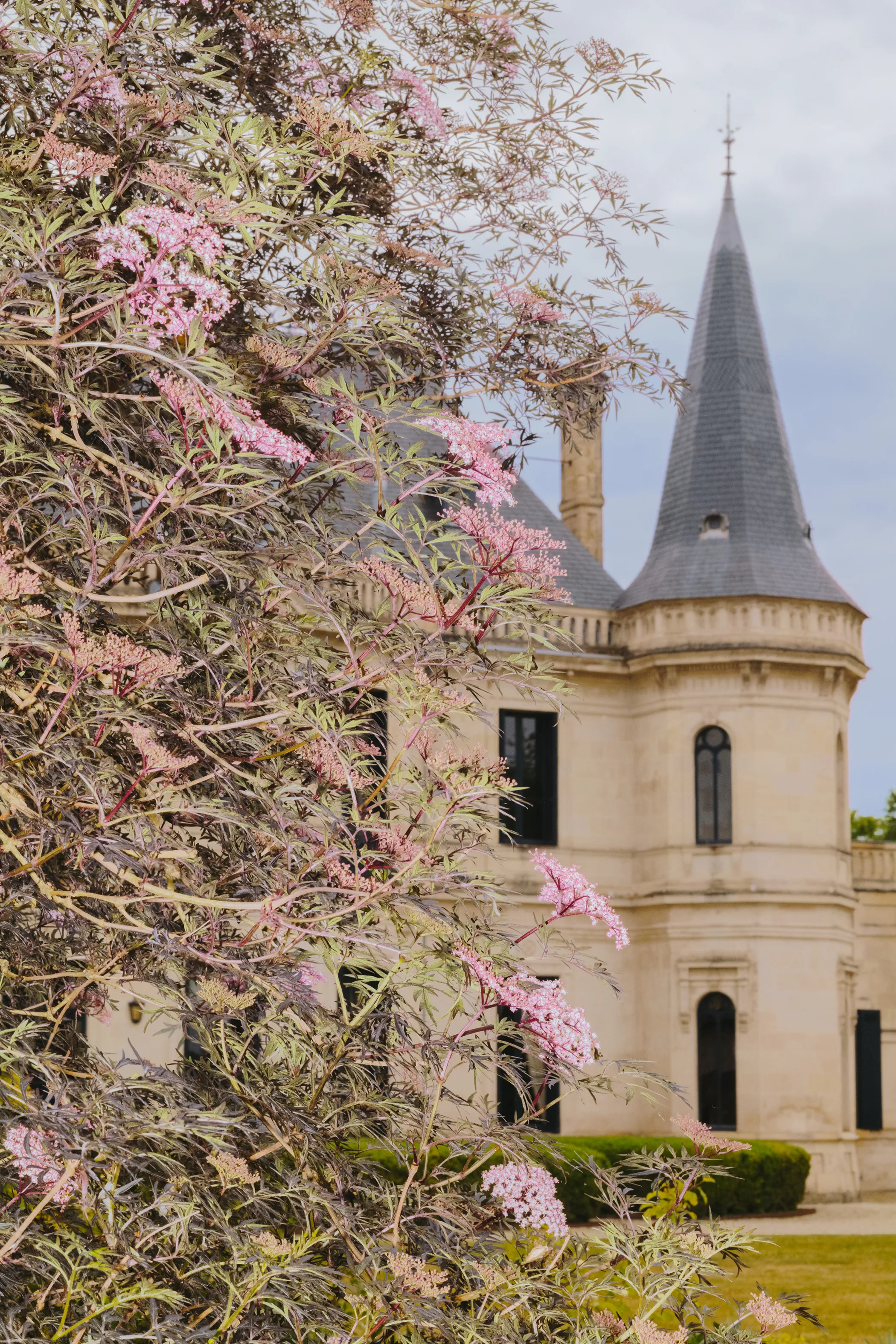 Le Château Palmer aperçu derrière un arbre en fleurs dans les jardins de la propriété.
