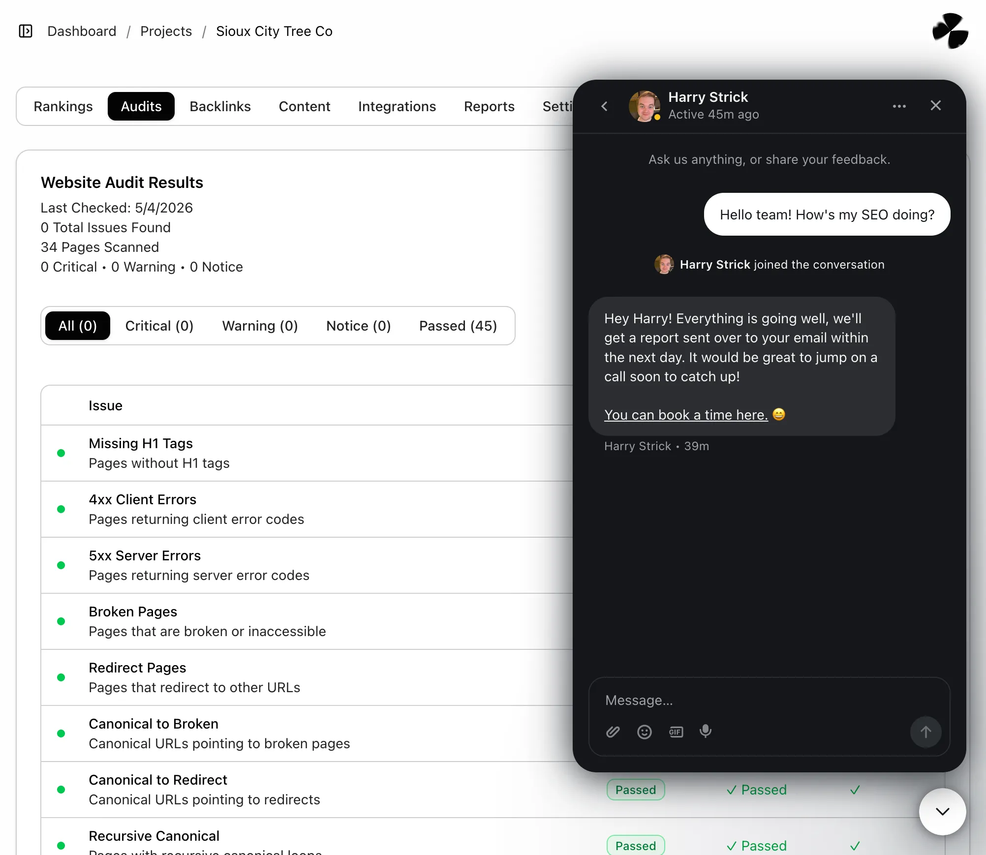 Website audit results showing zero issues found across 34 pages with details on various SEO checks and a chat window where Harry Strick asks about SEO status and receives a positive response with an invitation to book a call.